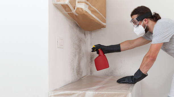 Professional Crawl Space Mold Removal technician working in Hempstead, TX