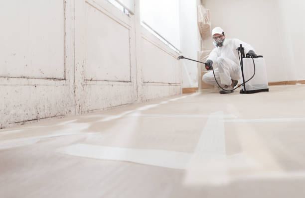 24/7 Emergency Crawl Space Mold Removal experts in Hempstead, TX